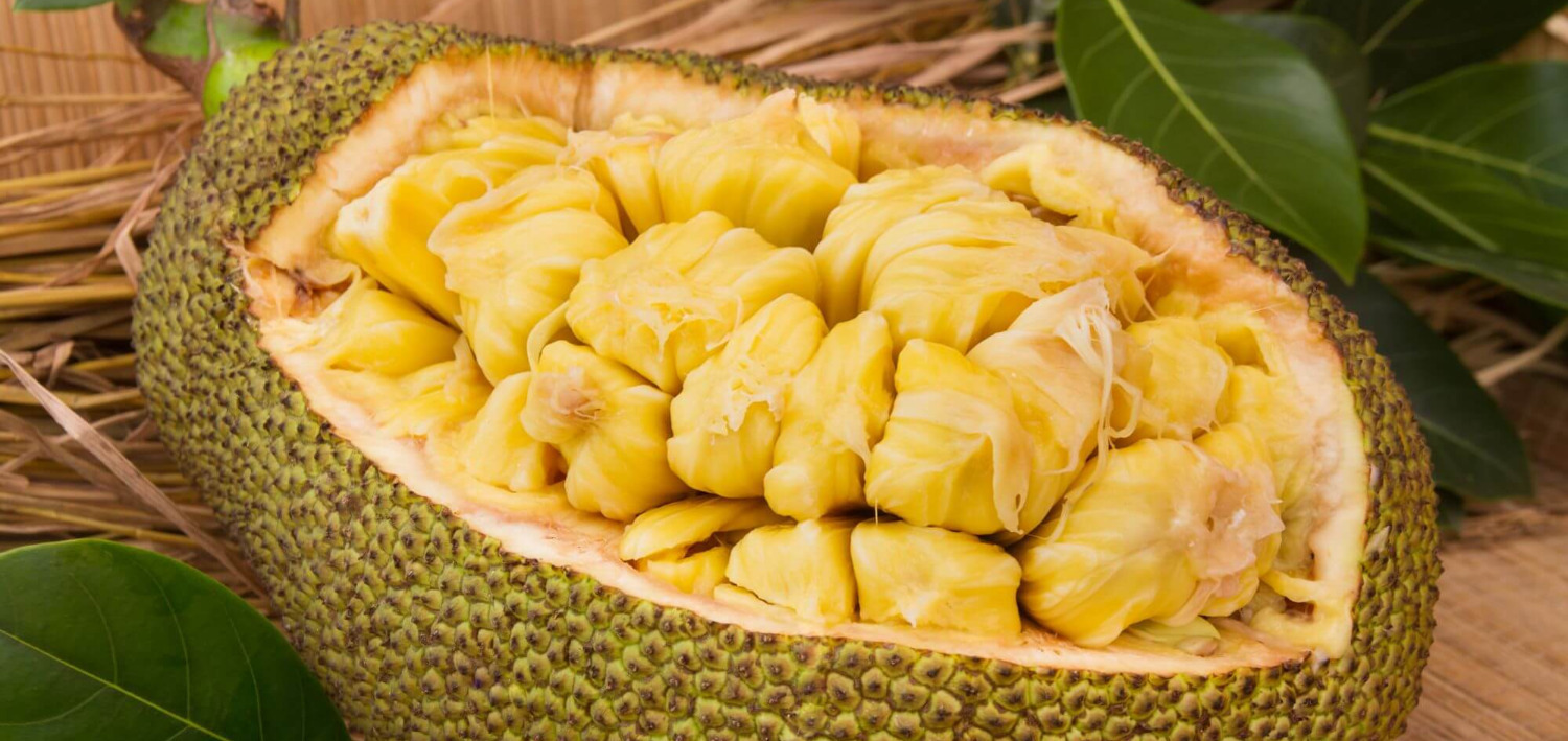 Theo các nghiên cứu, trong 100g mít lượng calo chứa khoảng 96 kcal Theo các nghiên cứu, trong 100g mít lượng calo chứa khoảng 96 kcal